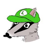 badgerfnb's Twitch profile picture