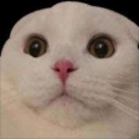 bbbb87dog1's Twitch profile picture
