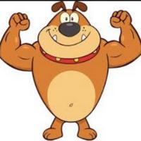 bdog805's Twitch profile picture