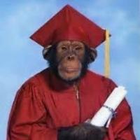 bejdi7's Twitch profile picture