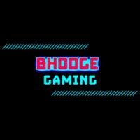 bhodge01's Twitch profile picture