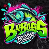 bigbassbozza's Twitch profile picture