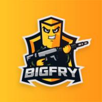 bigfrytv's Twitch profile picture