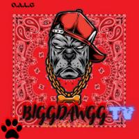biggdawggtv's Twitch profile picture
