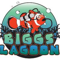 biggslagoon's Twitch profile picture