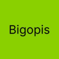 bigopis's Twitch profile picture