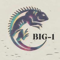 biig_1's Twitch profile picture