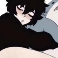 binguscatrr's Twitch profile picture