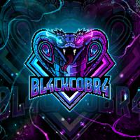 bl4ckcobr4_91's Twitch profile picture