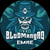 bludemre's Twitch profile picture