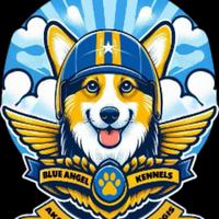 blueangelkennelracing's Twitch profile picture