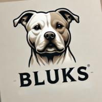 bluuks's Twitch profile picture