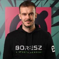 boreszfifa's Twitch profile picture