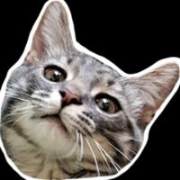 boristhefrenchcat's Twitch profile picture