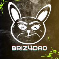 briz4dao's Twitch profile picture