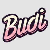 budilicious's Twitch profile picture
