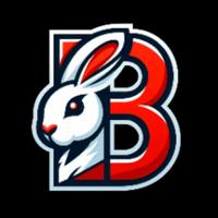 bunnitoo's Twitch profile picture