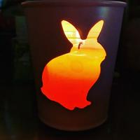 bunnypanena's Twitch profile picture