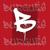 burgues29tv's Twitch profile picture