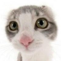 bylllka__by's Twitch profile picture