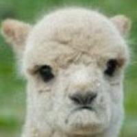 callmeeeyore's Twitch profile picture