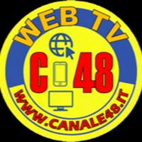 canale48webtv's Twitch profile picture
