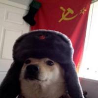 cartiwir's Twitch profile picture