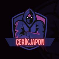 cekikjaponn's Twitch profile picture