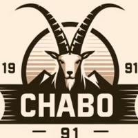 chabo91's Twitch profile picture