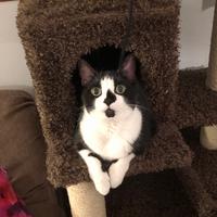 clue1355one's Twitch profile picture