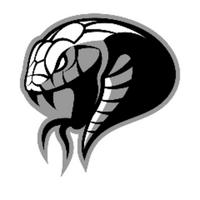 cobrik's Twitch profile picture