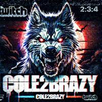 coletoobrazy10's Twitch profile picture