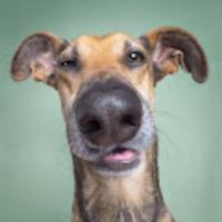 confusleetovskiy's Twitch profile picture