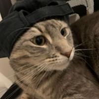 cortezz_y's Twitch profile picture