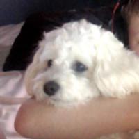 crackly's Twitch profile picture
