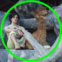 cronixss's Twitch profile picture