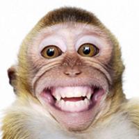 dahlia's Twitch profile picture
