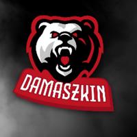 damaszkin's Twitch profile picture