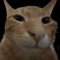 daniiitm_'s Twitch profile picture