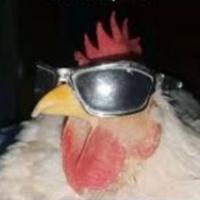 daugherty460's Twitch profile picture