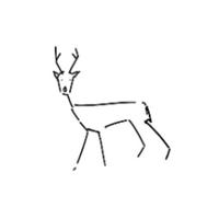 deersightings's Twitch profile picture