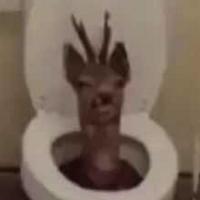democraticbatman's Twitch profile picture