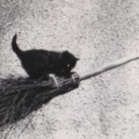derebana's Twitch profile picture
