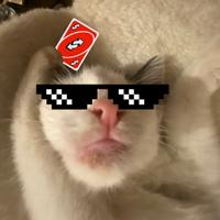 dermarrx's Twitch profile picture