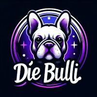 diebulli's Twitch profile picture