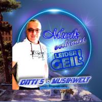 dittis_musikwelt's Twitch profile picture