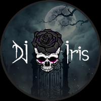 dj_iris's Twitch profile picture