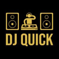 dj_quick_'s Twitch profile picture