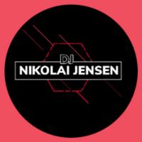 djnikolaijensen's Twitch profile picture