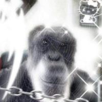 dogg3rr's Twitch profile picture